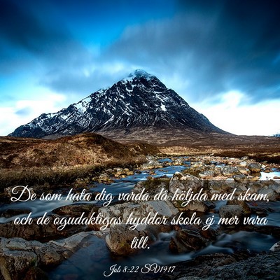 Picture 03 - Job 8:22 SV1917 - De som hata dig varda då höljda med skam, och - Bible Verse Picture