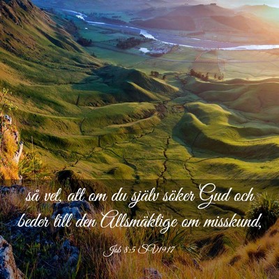 Picture 03 - Job 8:5 SV1917 - så vet, att om du själv söker Gud och beder - Bible Verse Picture