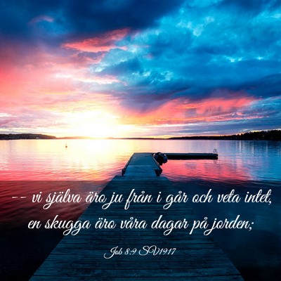 Picture 03 - Job 8:9 SV1917 - -- vi själva äro ju från i går och veta - Bible Verse Picture