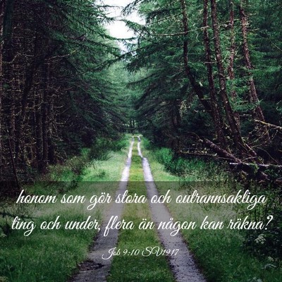 Picture 03 - Job 9:10 SV1917 - honom som gör stora och outrannsakliga ting och - Bible Verse Picture