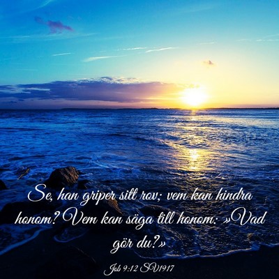 Picture 03 - Job 9:12 SV1917 - Se, han griper sitt rov; vem kan hindra honom? - Bible Verse Picture