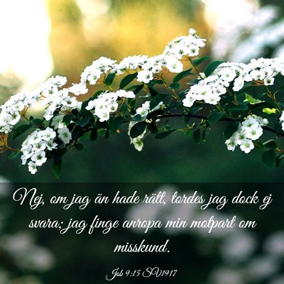 Picture 03 - Job 9:15 SV1917 - Nej, om jag än hade rätt, tordes jag dock ej - Bible Verse Picture