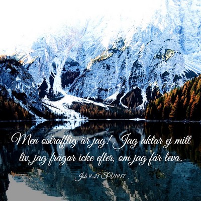 Picture 03 - Job 9:21 SV1917 - Men ostrafflig är jag! Jag aktar ej mitt liv, - Bible Verse Picture
