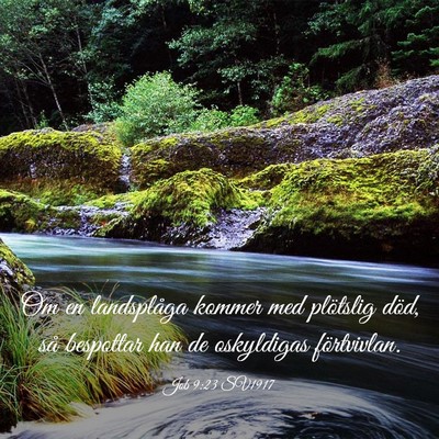 Picture 03 - Job 9:23 SV1917 - Om en landsplåga kommer med plötslig död, så - Bible Verse Picture