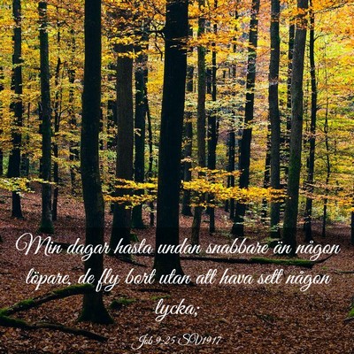 Picture 03 - Job 9:25 SV1917 - Min dagar hasta undan snabbare än någon - Bible Verse Picture