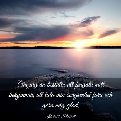 Picture 03 - Job 9:27 SV1917 - Om jag än besluter att förgäta mitt bekymmer, - Bible Verse Picture