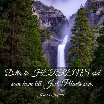 Picture 03 - Joel 1:1 SV1917 - Detta är HERRENS ord som kom till Joel, Petuels - Bible Verse Picture