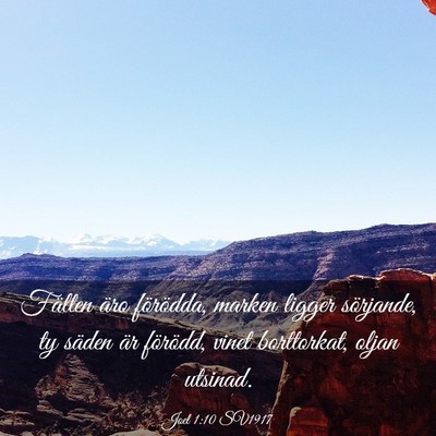 Picture 03 - Joel 1:10 SV1917 - Fälten äro förödda, marken ligger sörjande, - Bible Verse Picture