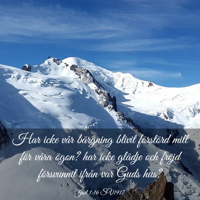 Picture 03 - Joel 1:16 SV1917 - Har icke vår bärgning blivit förstörd mitt - Bible Verse Picture
