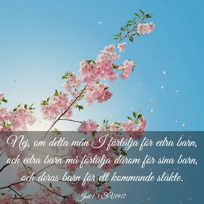Picture 03 - Joel 1:3 SV1917 - Nej, om detta mån I förtälja för edra barn, - Bible Verse Picture