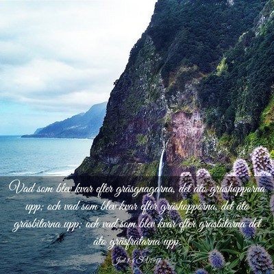 Picture 03 - Joel 1:4 SV1917 - Vad som blev kvar efter gräsgnagarna, det åto - Bible Verse Picture
