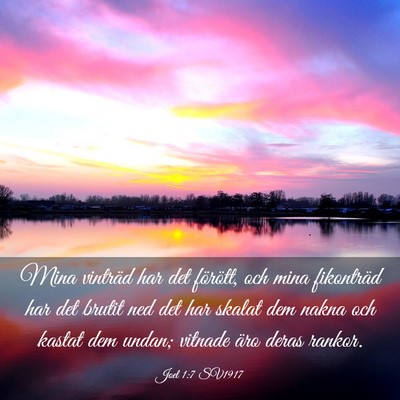 Picture 03 - Joel 1:7 SV1917 - Mina vinträd har det förött, och mina - Bible Verse Picture