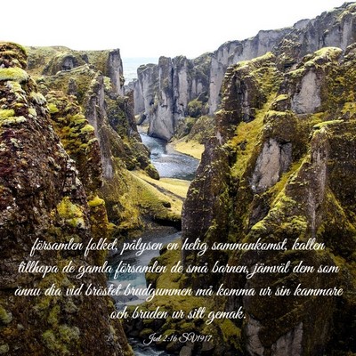 Picture 03 - Joel 2:16 SV1917 - församlen folket, pålysen en helig sammankomst, - Bible Verse Picture