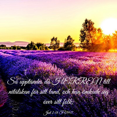 Picture 03 - Joel 2:18 SV1917 - Så upptändes då HERREN till nitälskan för - Bible Verse Picture