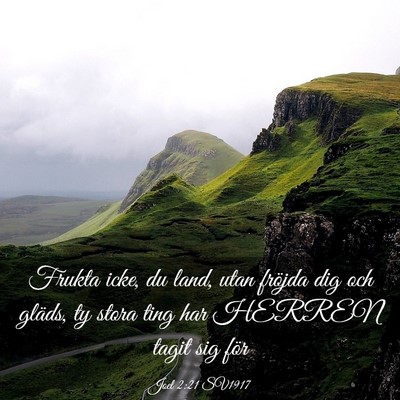 Picture 03 - Joel 2:21 SV1917 - Frukta icke, du land, utan fröjda dig och - Bible Verse Picture