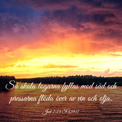 Picture 03 - Joel 2:24 SV1917 - Så skola logarna fyllas mod säd och pressarna - Bible Verse Picture