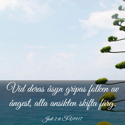 Picture 03 - Joel 2:6 SV1917 - Vid deras åsyn gripas folken av ångest, alla - Bible Verse Picture