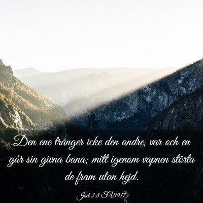 Picture 03 - Joel 2:8 SV1917 - Den ene tränger icke den andre, var och en går - Bible Verse Picture