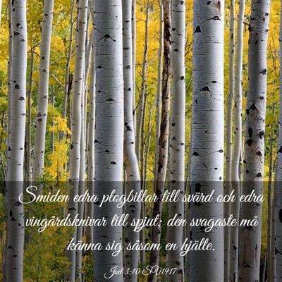 Picture 03 - Joel 3:10 SV1917 - Smiden edra plogbillar till svärd och edra - Bible Verse Picture