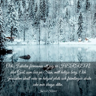 Picture 03 - Joel 3:17 SV1917 - Och I skolen förnimma att jag är HERREN, eder - Bible Verse Picture