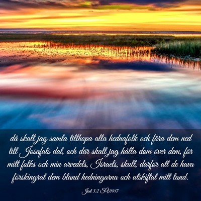 Picture 03 - Joel 3:2 SV1917 - då skall jag samla tillhopa alla hednafolk och - Bible Verse Picture