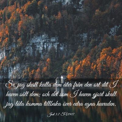 Picture 03 - Joel 3:7 SV1917 - Se, jag skall kalla dem åter från den ort dit I - Bible Verse Picture