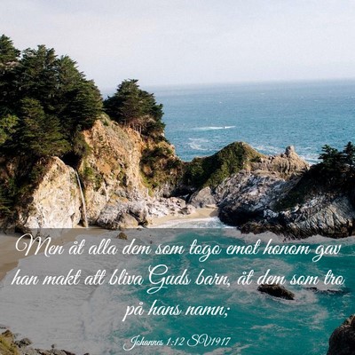 Picture 03 - Johannes 1:12 SV1917 - Men åt alla dem som togo emot honom gav han makt - Bible Verse Picture