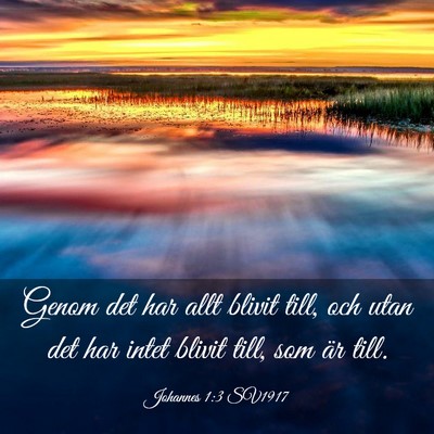 Picture 03 - Johannes 1:3 SV1917 - Genom det har allt blivit till, och utan det har - Bible Verse Picture