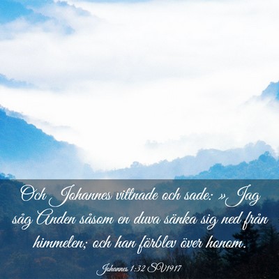 Picture 03 - Johannes 1:32 SV1917 - Och Johannes vittnade och sade: »Jag såg Anden - Bible Verse Picture