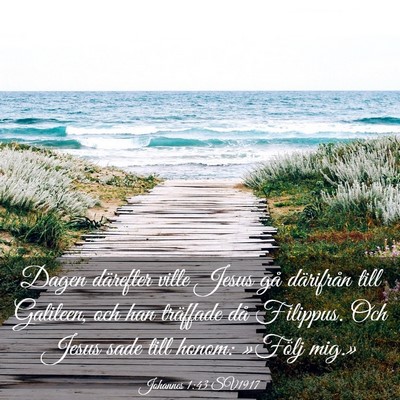 Picture 03 - Johannes 1:43 SV1917 - Dagen därefter ville Jesus gå därifrån till - Bible Verse Picture