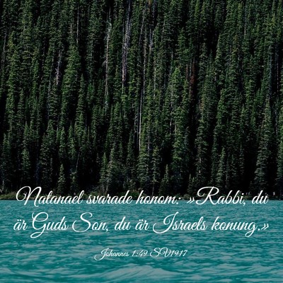 Picture 03 - Johannes 1:49 SV1917 - Natanael svarade honom: »Rabbi, du är Guds Son, - Bible Verse Picture