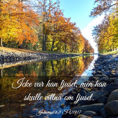 Picture 03 - Johannes 1:8 SV1917 - Icke var han ljuset, men han skulle vittna om - Bible Verse Picture