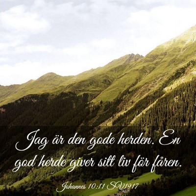 Picture 03 - Johannes 10:11 SV1917 - Jag är den gode herden. En god herde giver sitt - Bible Verse Picture