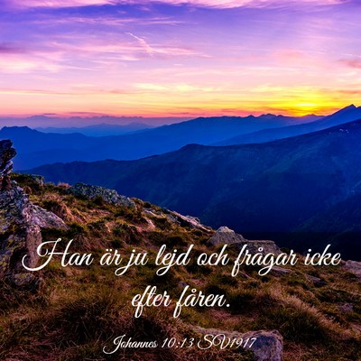 Picture 03 - Johannes 10:13 SV1917 - Han är ju lejd och frågar icke efter - Bible Verse Picture