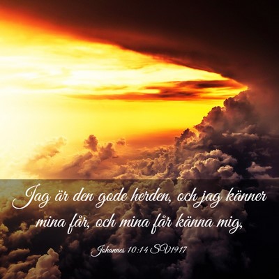 Picture 03 - Johannes 10:14 SV1917 - Jag är den gode herden, och jag känner mina - Bible Verse Picture