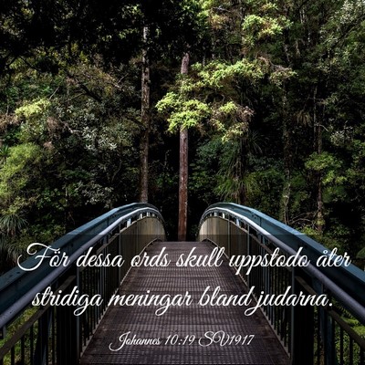 Picture 03 - Johannes 10:19 SV1917 - För dessa ords skull uppstodo åter stridiga - Bible Verse Picture