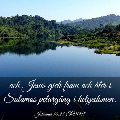 Picture 03 - Johannes 10:23 SV1917 - och Jesus gick fram och åter i Salomos - Bible Verse Picture