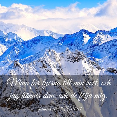Picture 03 - Johannes 10:27 SV1917 - Mina får lyssna till min röst, och jag känner - Bible Verse Picture