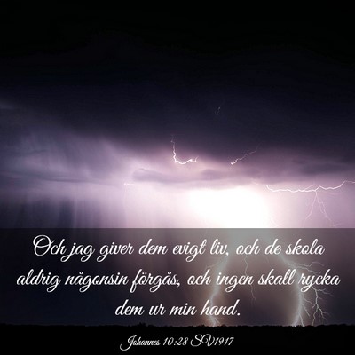 Picture 03 - Johannes 10:28 SV1917 - Och jag giver dem evigt liv, och de skola aldrig - Bible Verse Picture