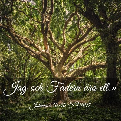 Picture 03 - Johannes 10:30 SV1917 - Jag och Fadern äro - Bible Verse Picture