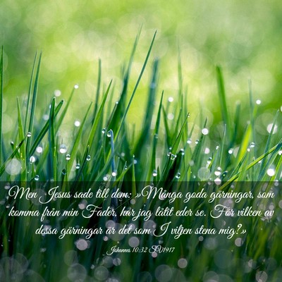 Picture 03 - Johannes 10:32 SV1917 - Men Jesus sade till dem: »Många goda - Bible Verse Picture