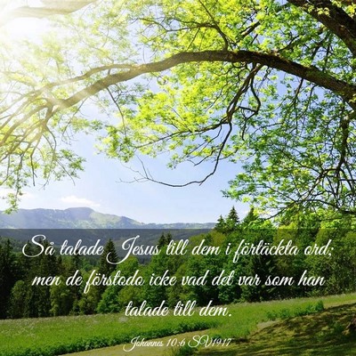 Picture 03 - Johannes 10:6 SV1917 - Så talade Jesus till dem i förtäckta ord; men - Bible Verse Picture
