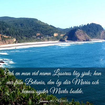 Picture 03 - Johannes 11:1 SV1917 - Och en man vid namn Lasarus låg sjuk; han var - Bible Verse Picture