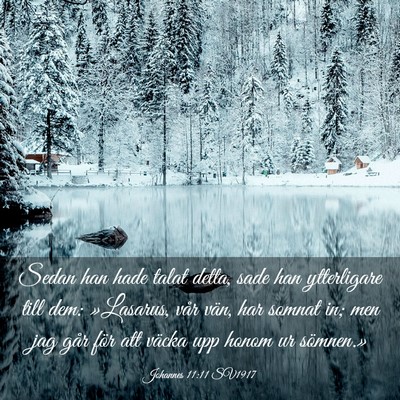 Picture 03 - Johannes 11:11 SV1917 - Sedan han hade talat detta, sade han ytterligare - Bible Verse Picture