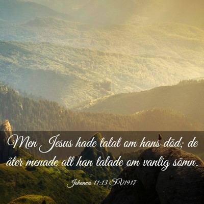 Picture 03 - Johannes 11:13 SV1917 - Men Jesus hade talat om hans död; de åter - Bible Verse Picture