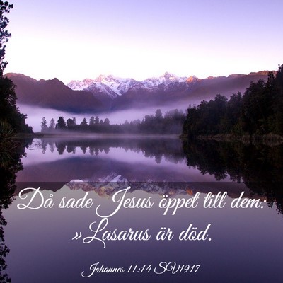 Picture 03 - Johannes 11:14 SV1917 - Då sade Jesus öppet till dem: »Lasarus är - Bible Verse Picture