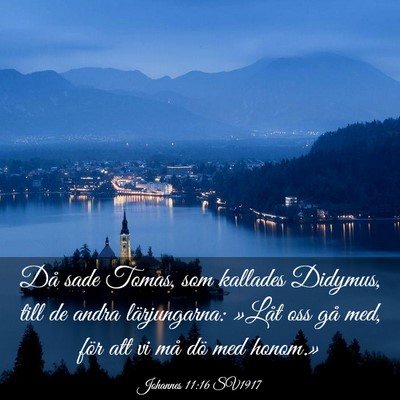Picture 03 - Johannes 11:16 SV1917 - Då sade Tomas, som kallades Didymus, till de - Bible Verse Picture