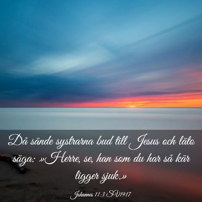 Picture 03 - Johannes 11:3 SV1917 - Då sände systrarna bud till Jesus och läto - Bible Verse Picture