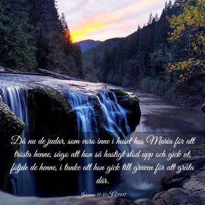 Picture 03 - Johannes 11:31 SV1917 - Då nu de judar, som voro inne i huset hos Maria - Bible Verse Picture
