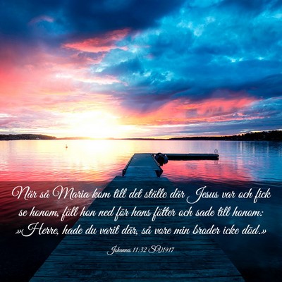 Picture 03 - Johannes 11:32 SV1917 - När så Maria kom till det ställe där Jesus - Bible Verse Picture